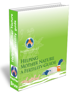 helping_mother_nature-3d