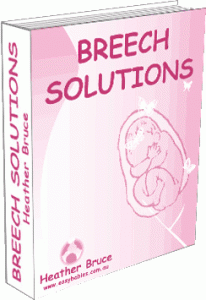 breech_solutions 3d