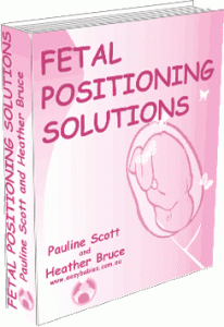 fetal_positioning-3d copy